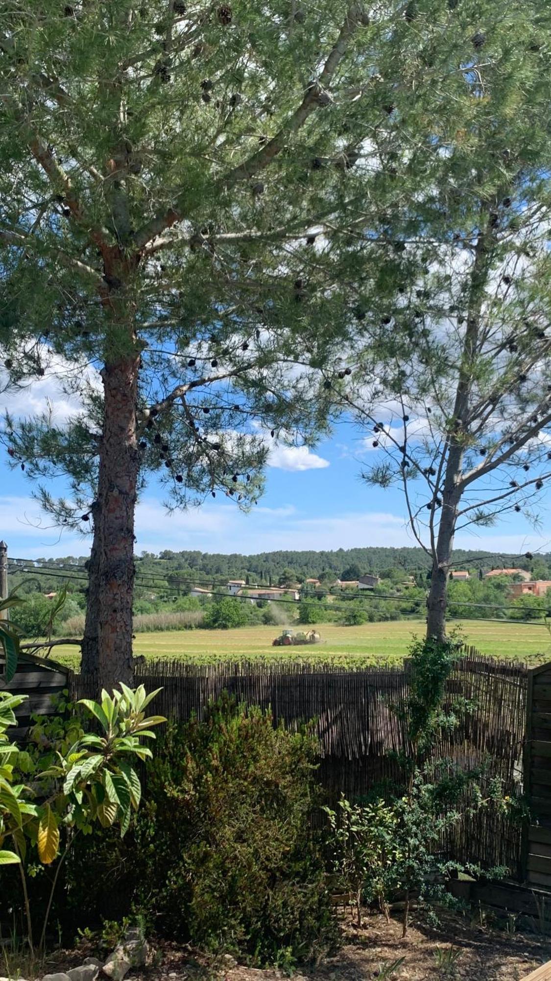 Villa En Bordure De Colline*Piscine*Clim*Netflix Les Matelles Exteriör bild
