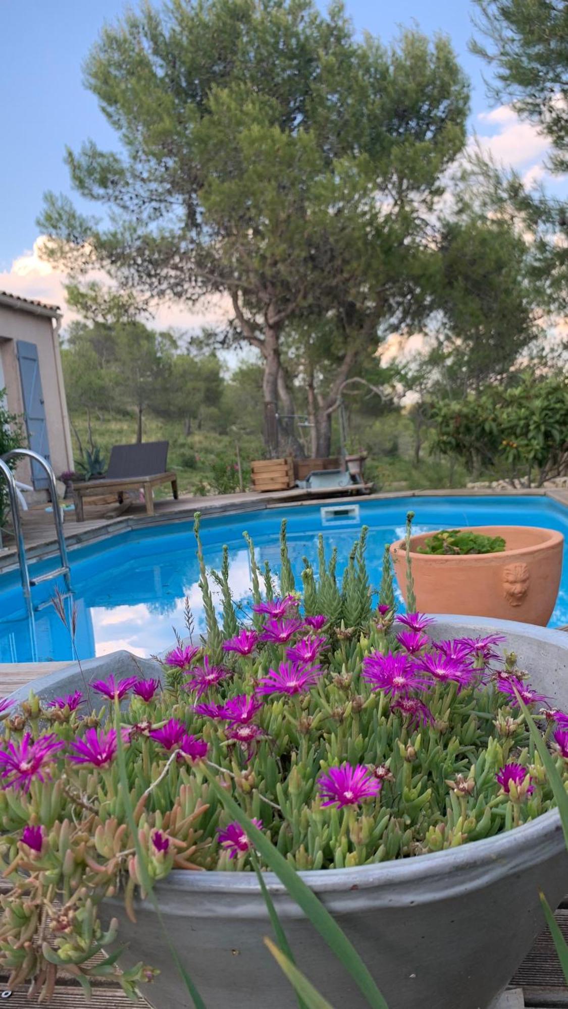 Villa En Bordure De Colline*Piscine*Clim*Netflix Les Matelles Exteriör bild